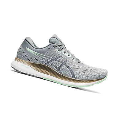 Asics EVORIDE Laufschuhe Damen Grau | DE-SALE77403