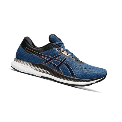 Asics EVORIDE Laufschuhe Herren Dunkelblau | DE-SALE77561