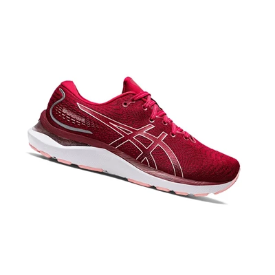 Asics GEL-CUMULUS 24 Laufschuhe Damen Rosa | DE-SALE76173