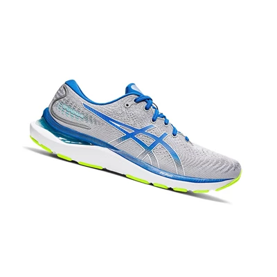 Asics GEL-CUMULUS 24 Laufschuhe Herren Sheet Rock / Lake Drive | DE-SALE78179
