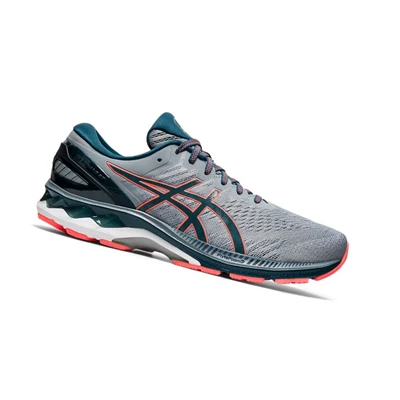 Asics GEL-KAYANO 27 Extra Weite Laufschuhe Herren Grau | DE-SALE77698