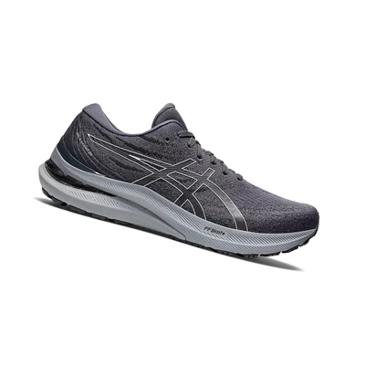 Asics GEL-KAYANO 29 (4E) Laufschuhe Herren Weiß | DE-SALE76517
