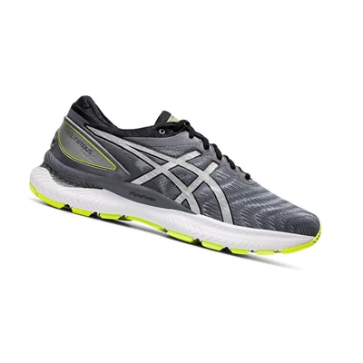 Asics GEL-NIMBUS 22 LITE-SHOW Laufschuhe Herren Grau | DE-SALE76533