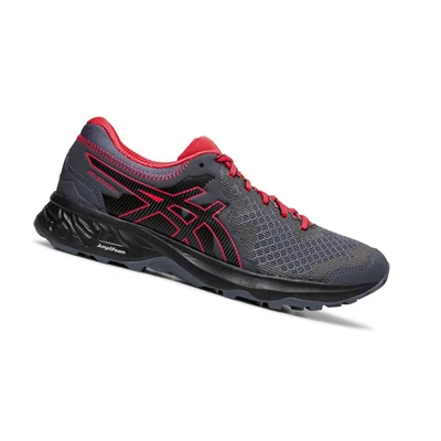Asics GEL-SONOMA 4 Trailrunning Schuhe Damen Grau | DE-SALE75969