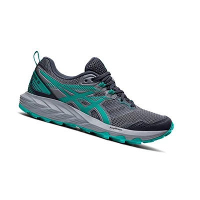 Asics GEL-SONOMA 6 Trailrunning Schuhe Damen Grau | DE-SALE76160