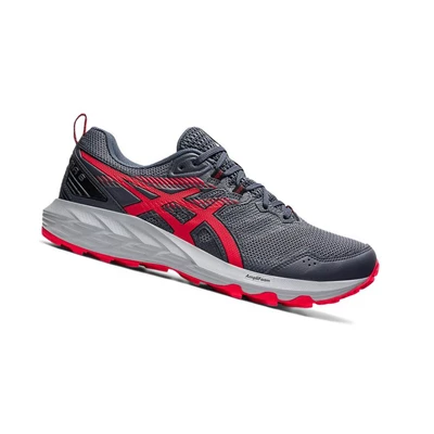 Asics GEL-SONOMA 6 Trailrunning Schuhe Herren Grau | DE-SALE76717