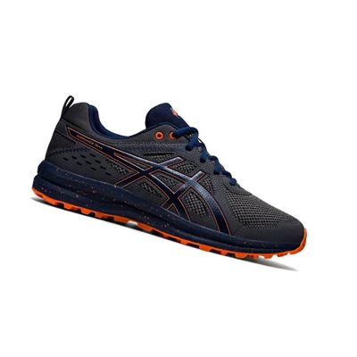 Asics GEL-TORRANCE TRAIL Trailrunning Schuhe Herren Grau | DE-SALE77513