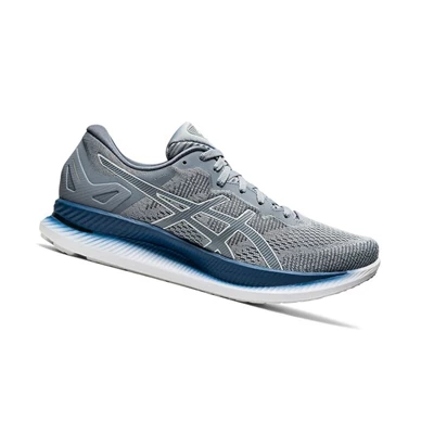 Asics GLIDERIDE Laufschuhe Herren Grau | DE-SALE78046