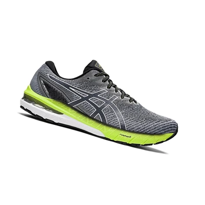 Asics GT-2000 10 (2E) Laufschuhe Herren Grau Weiß | DE-SALE77577