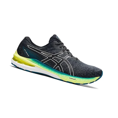 Asics GT-2000 10 (2E) Laufschuhe Herren Grau | DE-SALE78318
