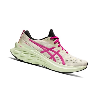 Asics NOVABLAST 2 Laufschuhe Damen Beige | DE-SALE77269