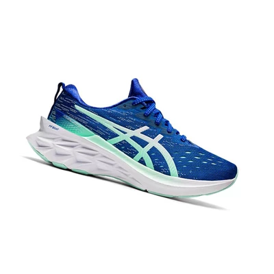 Asics NOVABLAST 2 Laufschuhe Damen Blau | DE-SALE76936