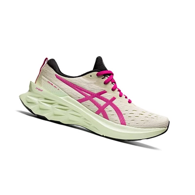 Asics NOVABLAST 2 Laufschuhe Damen Rosa | DE-SALE76280