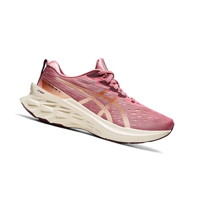 Asics NOVABLAST 2 Laufschuhe Damen Rosa | DE-SALE76322
