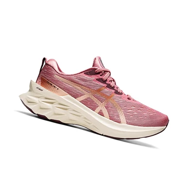 Asics NOVABLAST 2 Laufschuhe Damen Rosa | DE-SALE78275