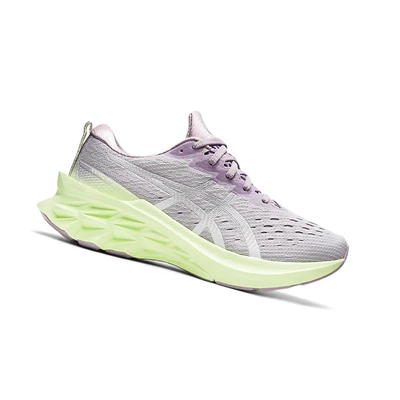 Asics NOVABLAST 2 Laufschuhe Damen Silber | DE-SALE78082