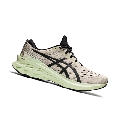 Asics NOVABLAST 2 Laufschuhe Herren Beige | DE-SALE76288