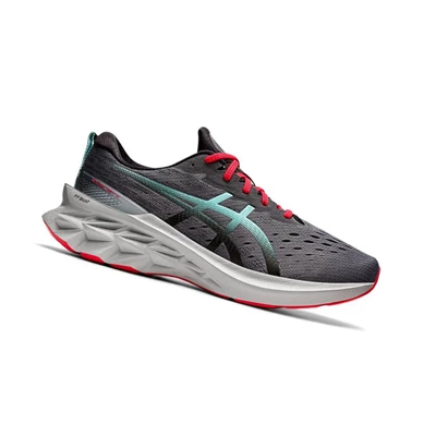 Asics NOVABLAST 2 Laufschuhe Herren Grau | DE-SALE75861