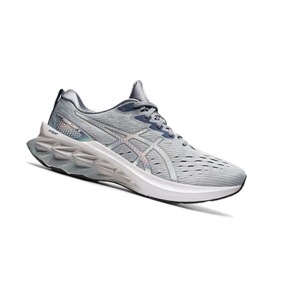 Asics NOVABLAST 2 Laufschuhe Herren Grau | DE-SALE76665