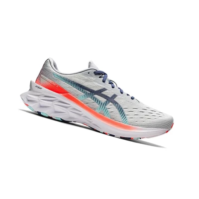 Asics NOVABLAST 2 Laufschuhe Herren Grau | DE-SALE77190