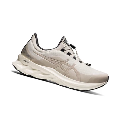 Asics NOVABLAST Laufschuhe Herren Beige | DE-SALE77583