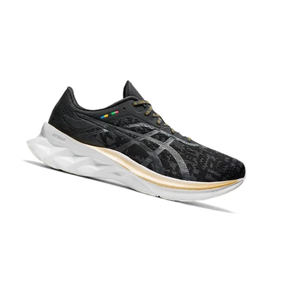 Asics NOVABLAST Laufschuhe Herren Schwarz | DE-SALE75655