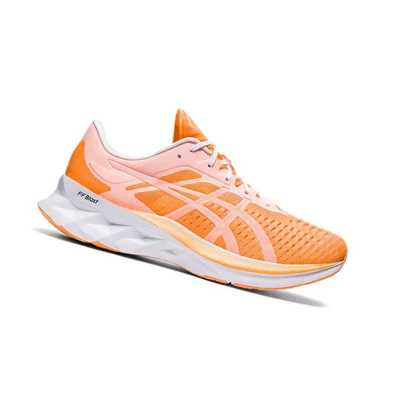 Asics NOVABLAST Modern Tokyo Laufschuhe Herren Orange | DE-SALE77227